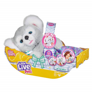 Little Live interaktivna koala Cozy Dozy 